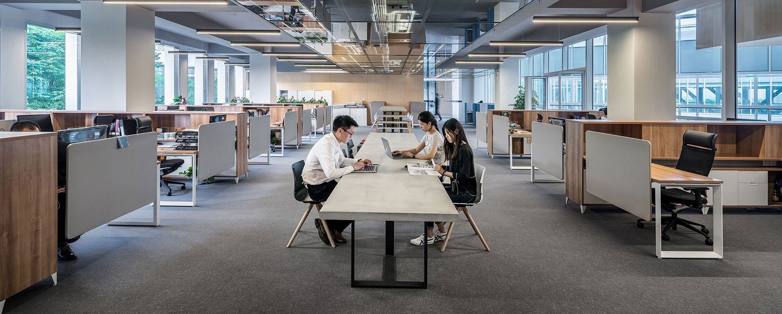 WayTux Asset Management Office